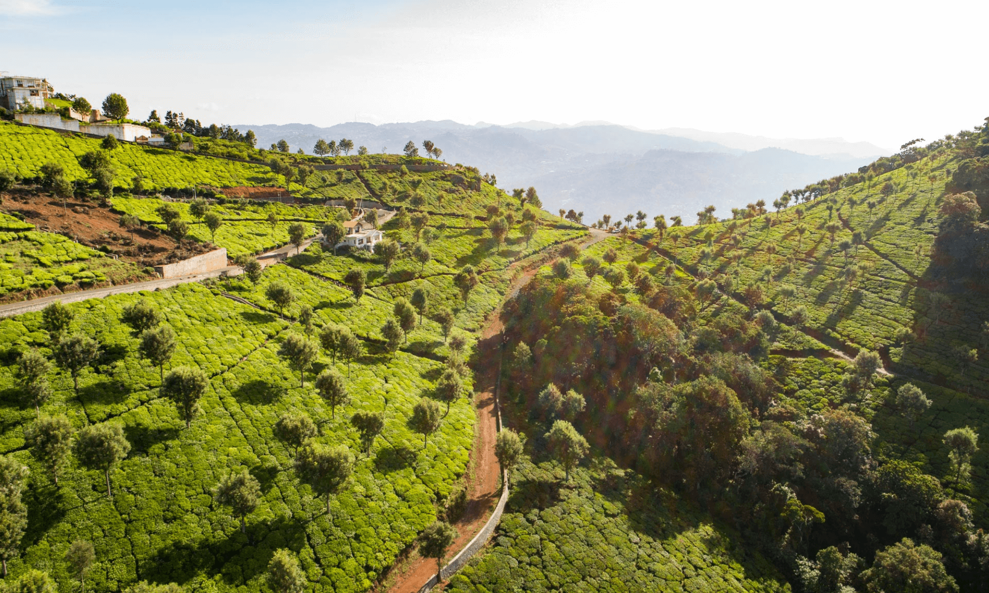 House and properties for sale in Coonoor, Ooty Cottage and villas in