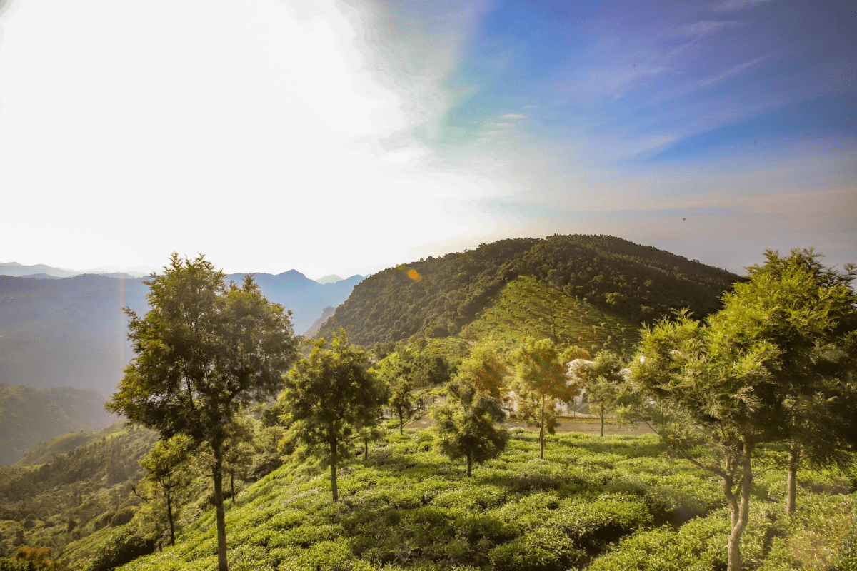Coonoor Estates Solitude Plots