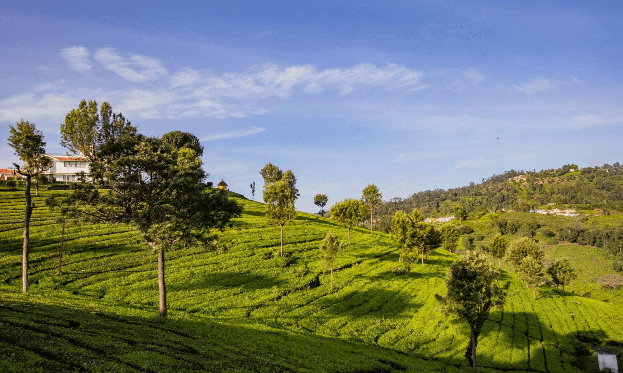 Solitude Coonoorestates